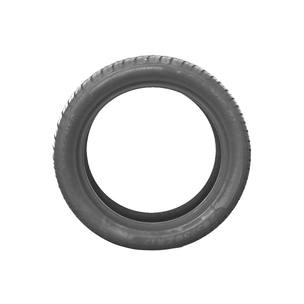 Pneu 205/50R17 93WXL Smacher Compasal