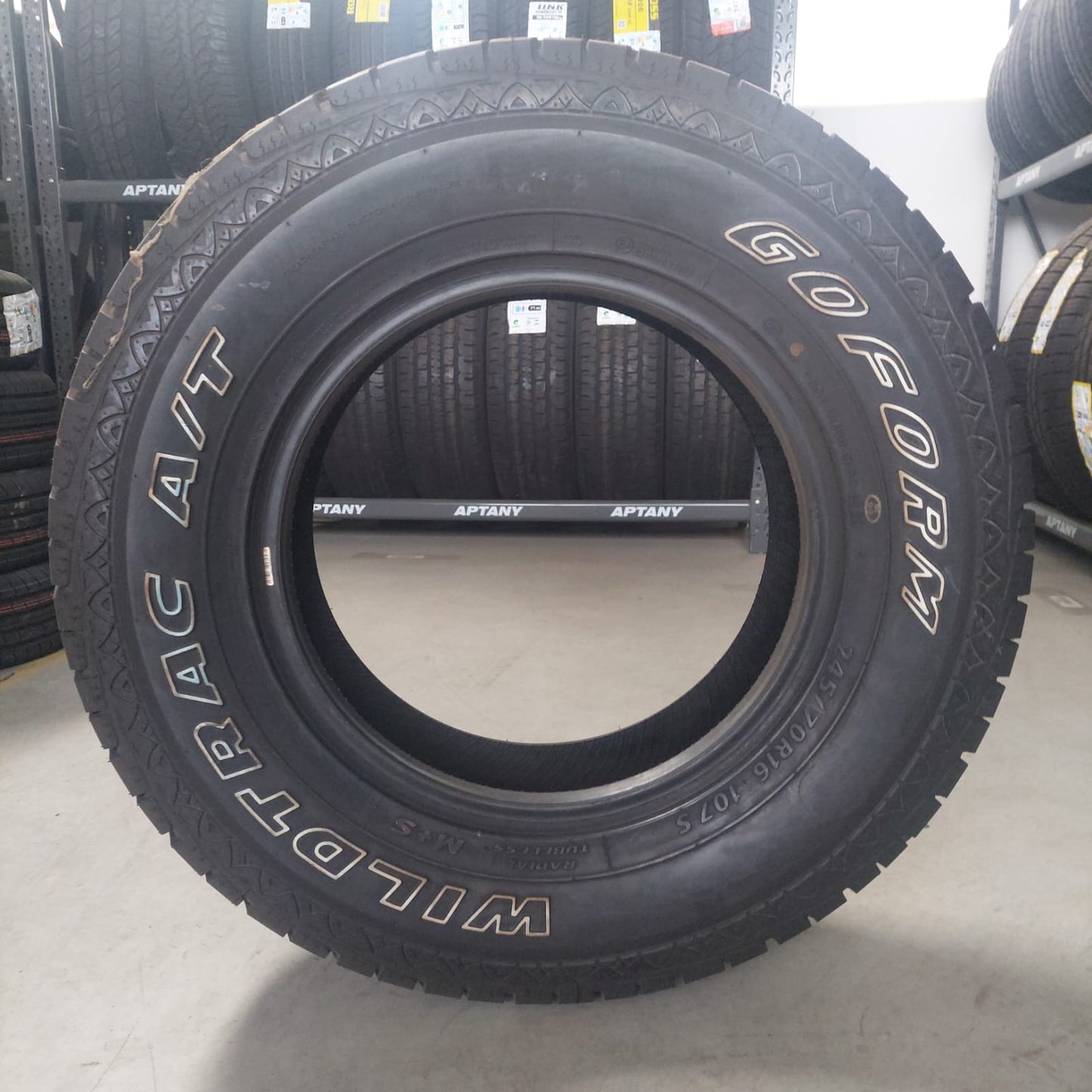 Pneu P245/70R16 107S A/T AT01Goform