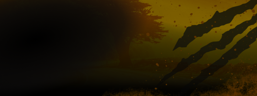 O calor e seus efeitos nos pneus: proteja a segurança do seu carro no verão